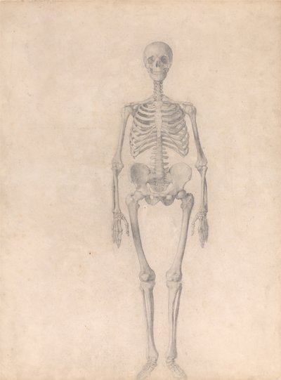 A Comparative Anatomical Exposition of the Structure of the Human Body with that of a Tiger and a Cow by George Stubbs